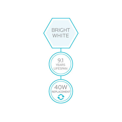 Luxrite LED G16.5 Filament Style Globe Light Bulb, E12 Candelabra Base, 4W, 5000K - Bright White, 400 Lumens, 80 CRI, Clear Finish, Dimmable (LR21611)