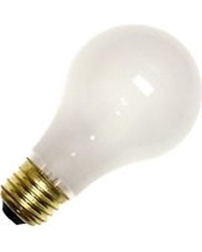 GE Incandescent Light Bulb