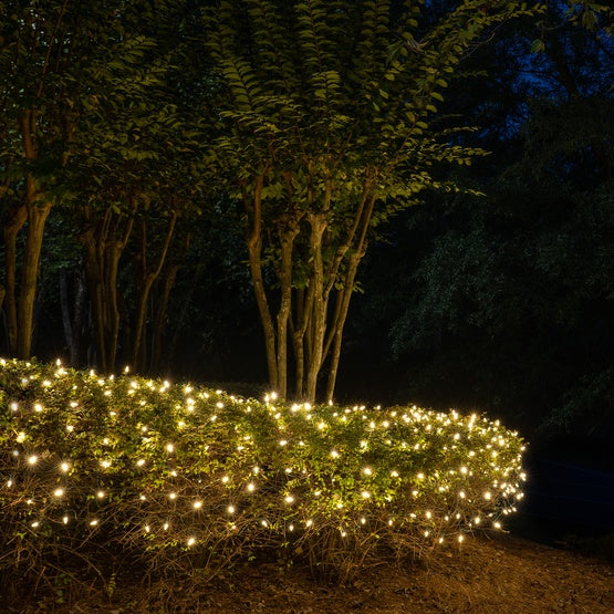 50-LITE RECTIFIED M5 LED LIGHT SET; WARM WHITE BULBS; GREEN WIRE, Approx. 25' 8" Long