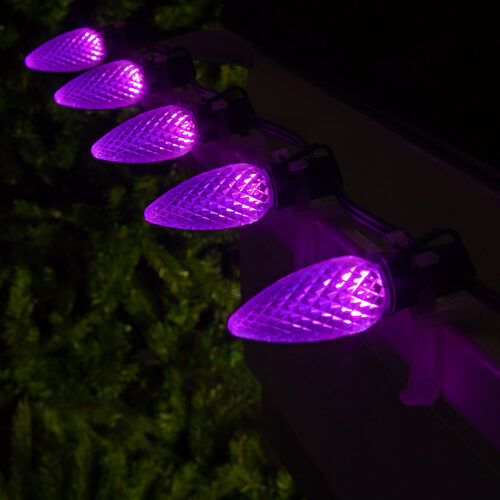 25-Light LED C9 Light Set; Purple Bulbs on Green Wire, Approx. 16'6" Long