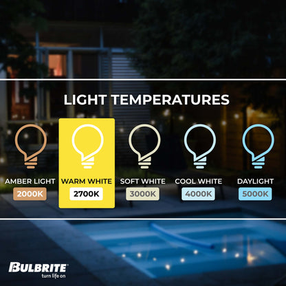 Bulbrite 48-foot String Light Kit with Clear Shatter Resistant Vintage Style S14 LED Light Bulbs