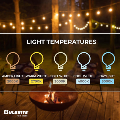 Bulbrite 30-foot String Light Cord with 12 Sockets, E12 Base, Bulbs Not Included