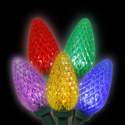 Vickerman 25 Multi-Colored C9 LED Light on Green Wire, 16' Christmas Single Mold Light Strand- 2 Pack