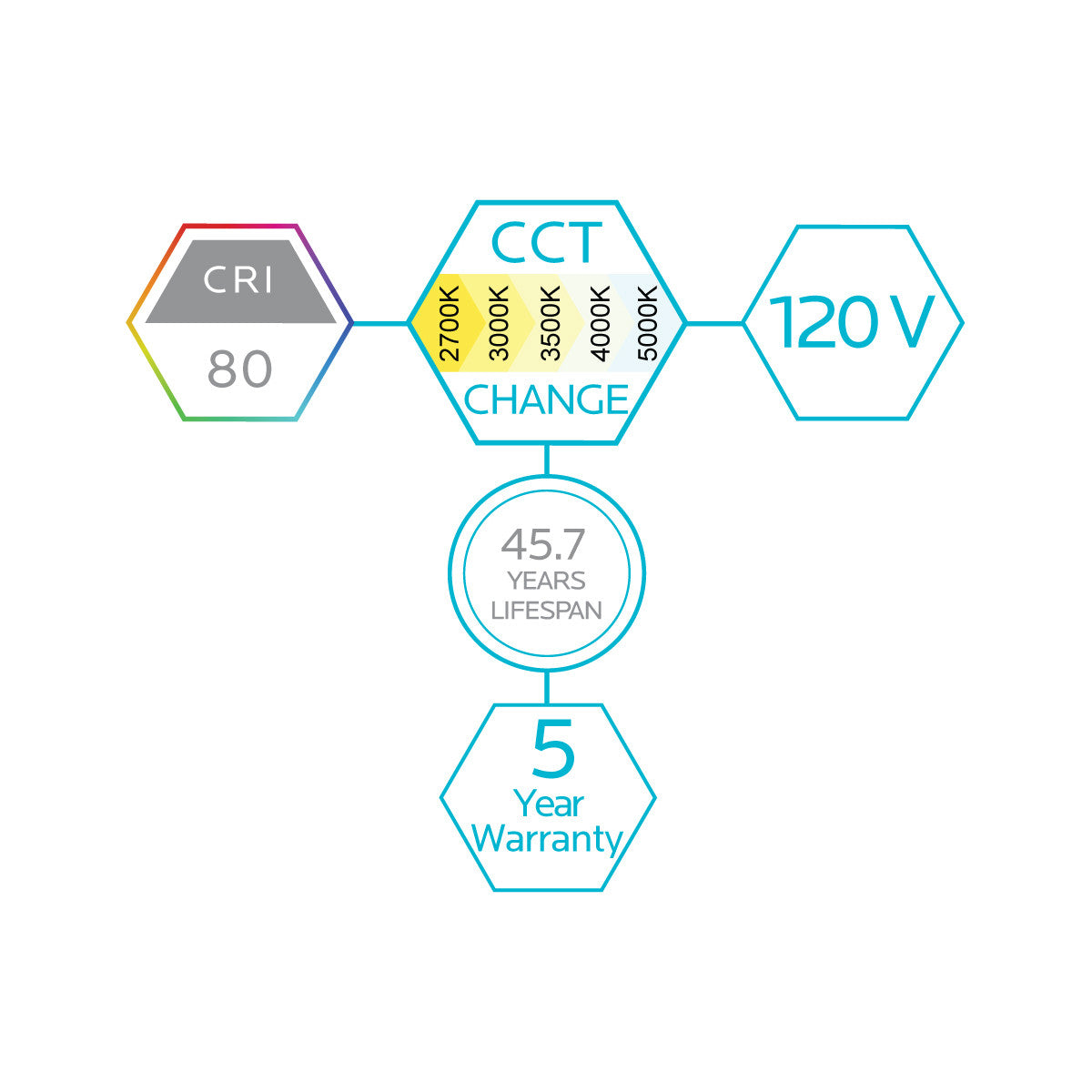 1X2 SURFACE MOUNT PANEL 22W 5CCT