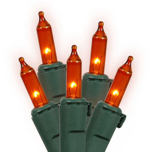 Vickerman 50 Amber Mini Light on Green Wire, 23' Christmas Light Strand- 2 Pack