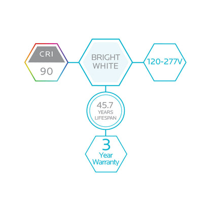 Luxrite Wall Mount LEDMHVN4/950/U/SN 5000K Bright White