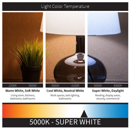 Sunlite LED Light Panel, 1x4 Foot, 40 Watt, 5000K Super White, 4000 Lumens, Dimmable, DLC listed, 50000 Hours Average Life Span, 2-Pack