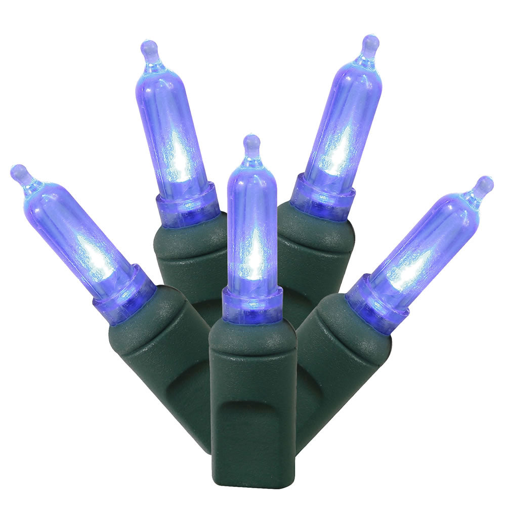 Vickerman 50 Blue Italian LED Light on Green Wire, 25' Christmas Single Mold Light Strand- 2 Pack