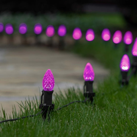 25 Light LED C7 Light Set Pink Bulbs on Green Wire, Approx. 16'6" Long