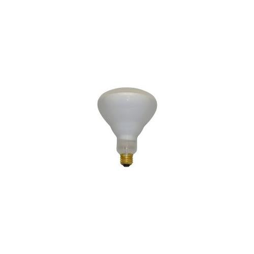 Bulbrite 65R40FL/N 65 Watt Incandescent True Daylight R40 Reflector, Medium Base, Clear