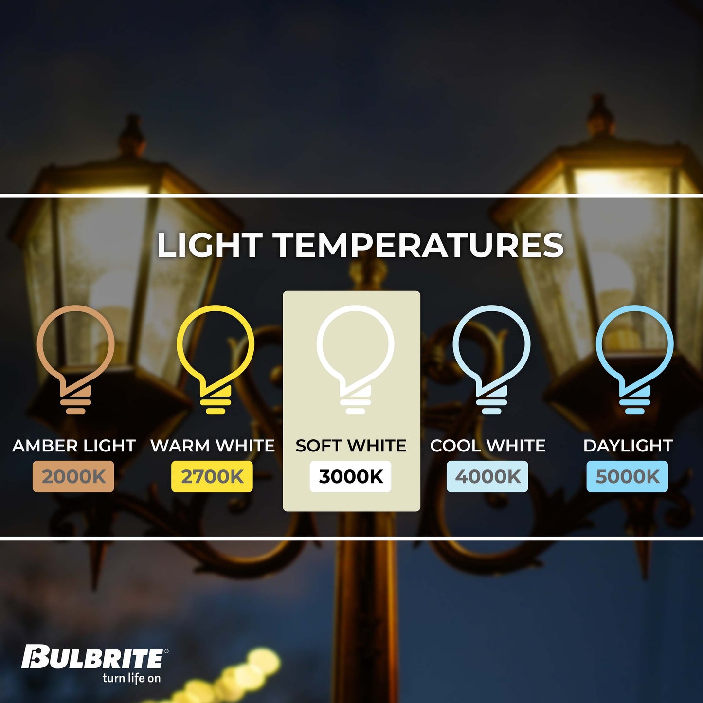 Bulbrite Dusk to Dawn Pack of (4) 9 Watt A19 LED Light Bulb with Frosted Glass Finish and Medium (E26) Base - 3000K (Soft White Light), 800 Lumens