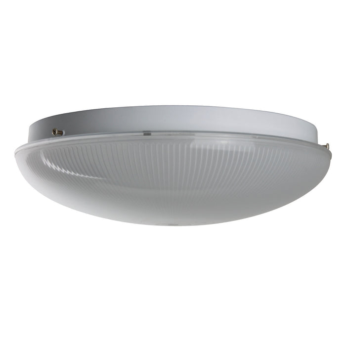 14" 2 Lamp Fluorescent Circline Fixture, White Finish, Ribbed Frosted Lens
