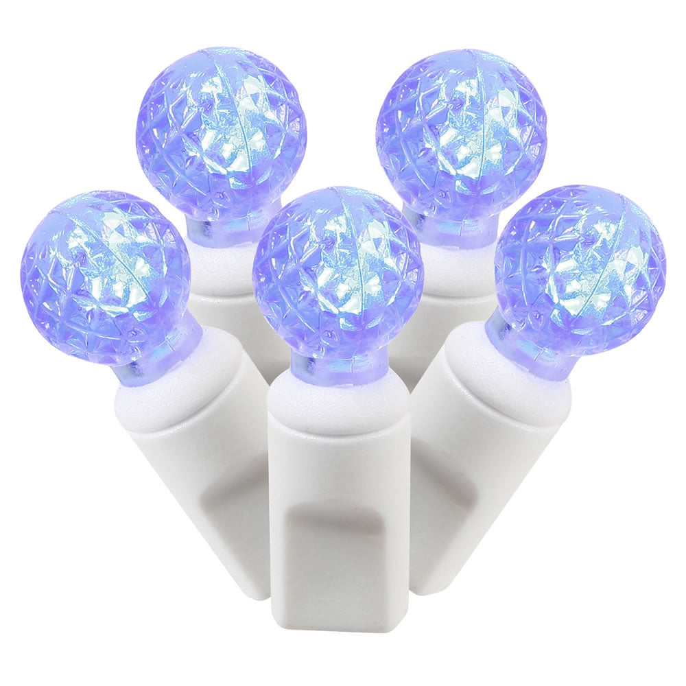 Vickerman 50 Blue G12 LED Light on White Wire, 25' Christmas Single Mold Light Strand- 2 Pack