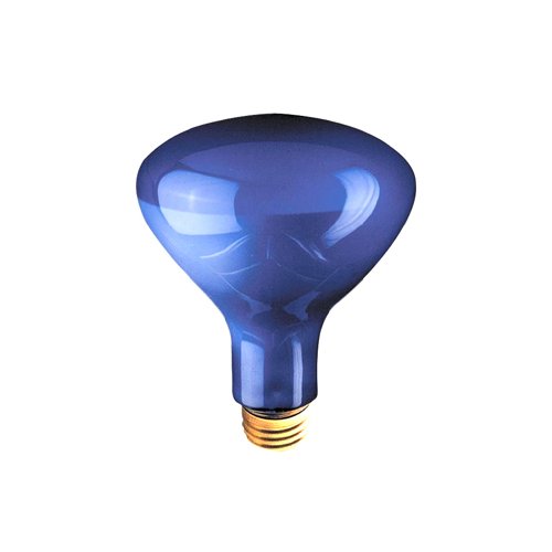 Bulbrite 75R30PG 75 Watt Incandescent Plant Grow R30 Reflector, Medium Base, Blue