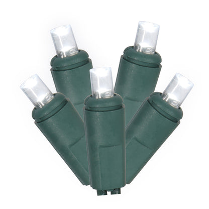 Vickerman 50 Pure White Twinkle Wide Angle LED Light on Green Wire, 25' Light Strand.- 2 Pack