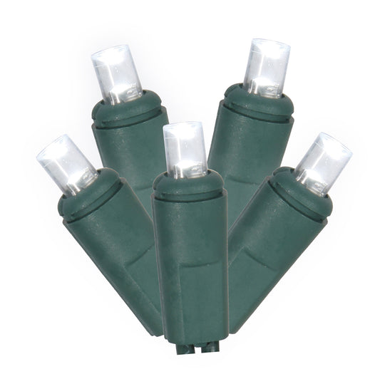 Vickerman 50 Pure White Twinkle Wide Angle LED Light on Green Wire, 25' Light Strand.- 2 Pack
