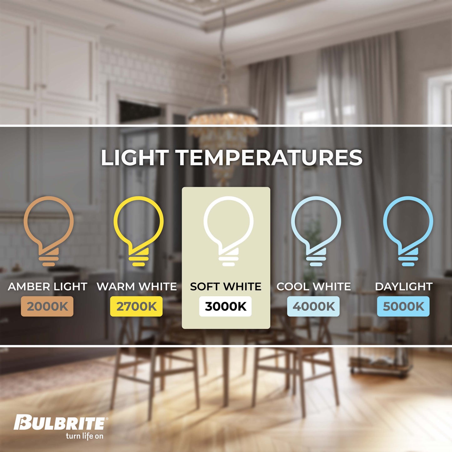 Bulbrite LED Filament Pack of (4) 5 Watt Dimmable 11 Inch T9 Light Bulb with Clear Glass Finish and Medium (E26) Base - 3000K (Soft White Light), 350 Lumens