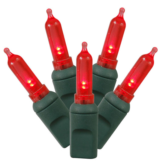 Vickerman 50 Red Italian LED Light on Green Wire, 25' Christmas Single Mold Light Strand- 2 Pack