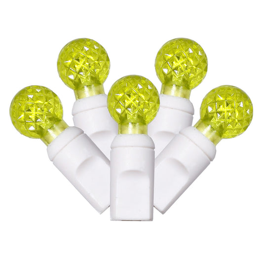 Vickerman 50 Lime G12 LED Light on White Wire, 25' Christmas Single Mold Light Strand- 2 Pack