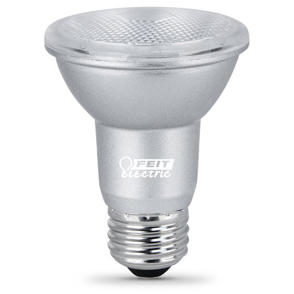 450 Lumen 5000K PAR20