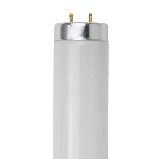 Sunlite 40 Watt T12 Colored Straight Tube, Medium Bi-Pin Base, Gold