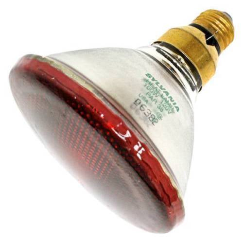 Sylvania Incandescent Light Bulb