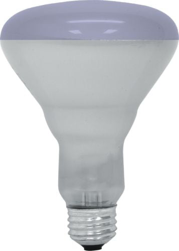GE Lighting 20996 65-Watt R30 Plant Flood Light Bulb, Plant Light