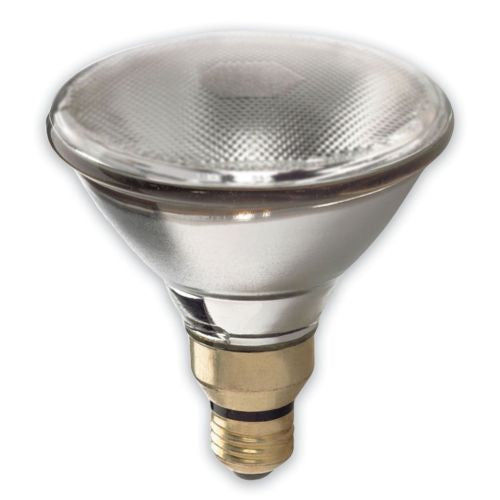 GE Lighting 48037 150-Watt 1700-Lumen Outdoor PAR38 Incandescent Light Bulb, Clear