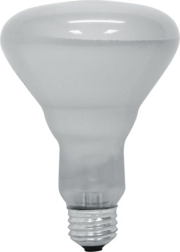 GE Lighting 20332 65-Watt 700-Lumen R30 Spot Light Bulb, Soft White