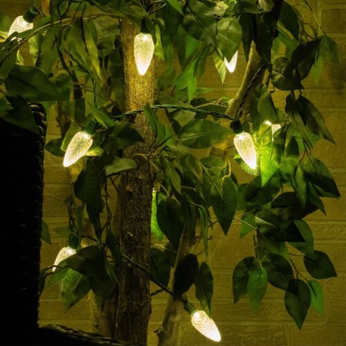 25-Light LED C9 Light Set; Warm White Bulbs on Green Wire, Approx. 16'6" Long