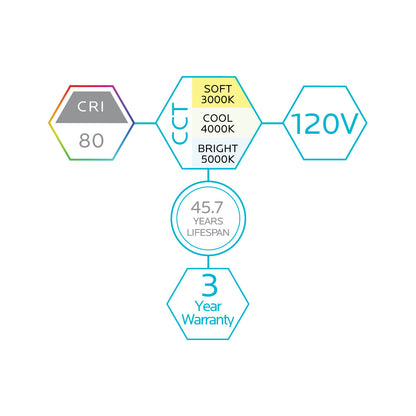 12" SLIM SURFACE MOUNT 3CCT