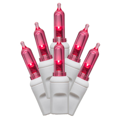 Vickerman 50 Magenta Italian LED on White Wire, 25' Christmas Single Mold Light Strand- 2 Pack