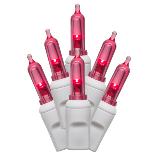 Vickerman 50 Magenta Italian LED on White Wire, 25' Christmas Single Mold Light Strand- 2 Pack