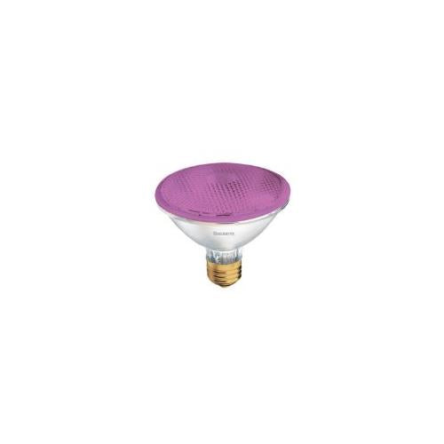 Bulbrite H75PAR30P 75 Watt Dimmable Colored Light Halogen PAR30, Medium Base, Pink