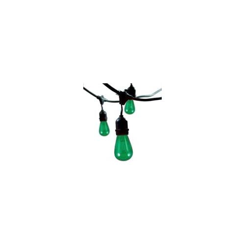 Bulbrite STRING15/E26-11S14TG Outdoor String Light w/Green Incandescent 11S14 Bulbs, 48-Feet, 15 Lights