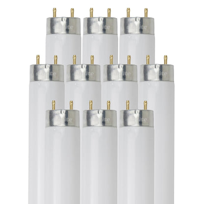 Sunlite F32T8/SP835/10PK 32 Watt T8 High Performance Straight Tube Medium Bi-Pin (G13) Base, 3500K Neutral White, 10 Pack