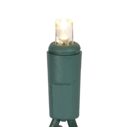 Vickerman 50 Warm White Twinkle Wide Angle LED Light on Green Wire, 25' Light Strand.- 2 Pack