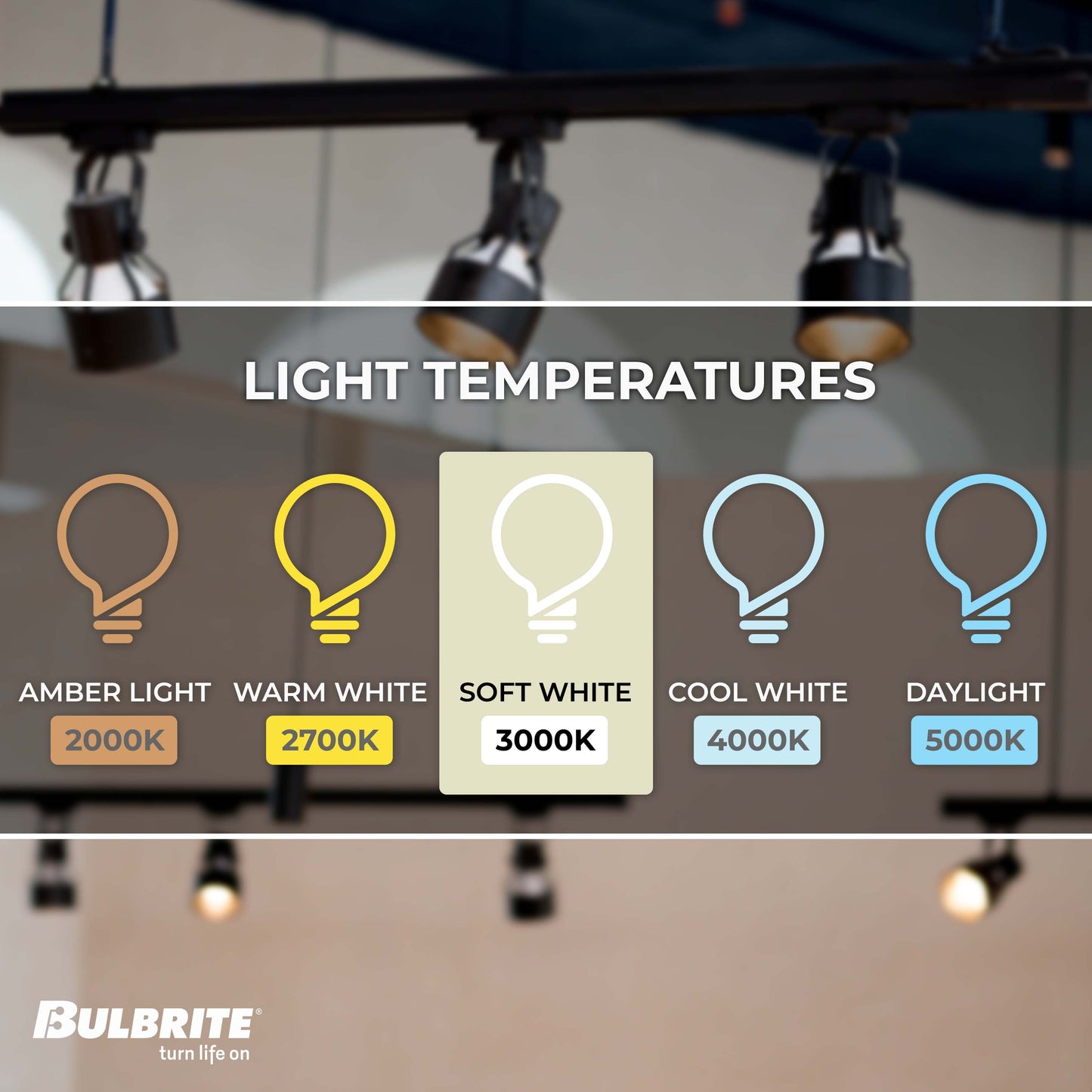 Bulbrite Pack of (6) 10 Watt Dimmable Flood PAR30LN Medium (E26) LED Bulb - 800 Lumens, 3000K, and 90 CRI