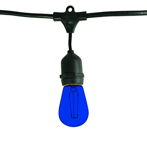 Bulbrite STRING15/E26-11S14TB Outdoor String Light w/Blue Incandescent 11S14 Bulbs, 48-Feet, 15 Lights