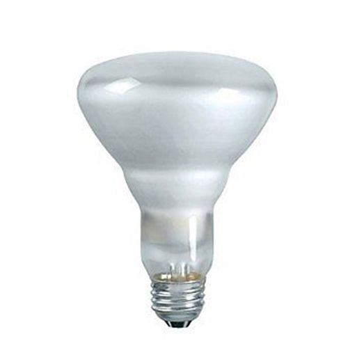 Philips 388496 Halogena Fld Med 60W?