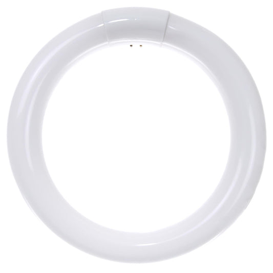 Sunlite 22 Watt T9 Circline, 4-Pin Base, Daylight FC8T9