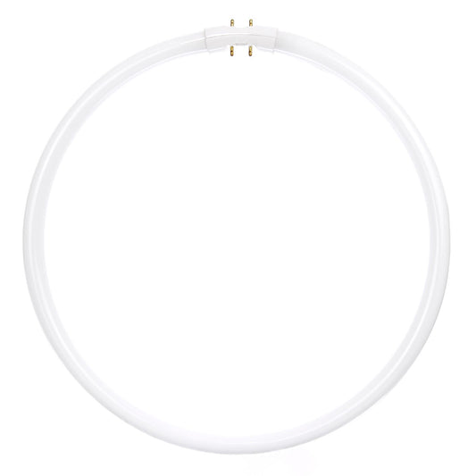 Sunlite 40 Watt T5 Circline, 2GX13 Base, Cool White