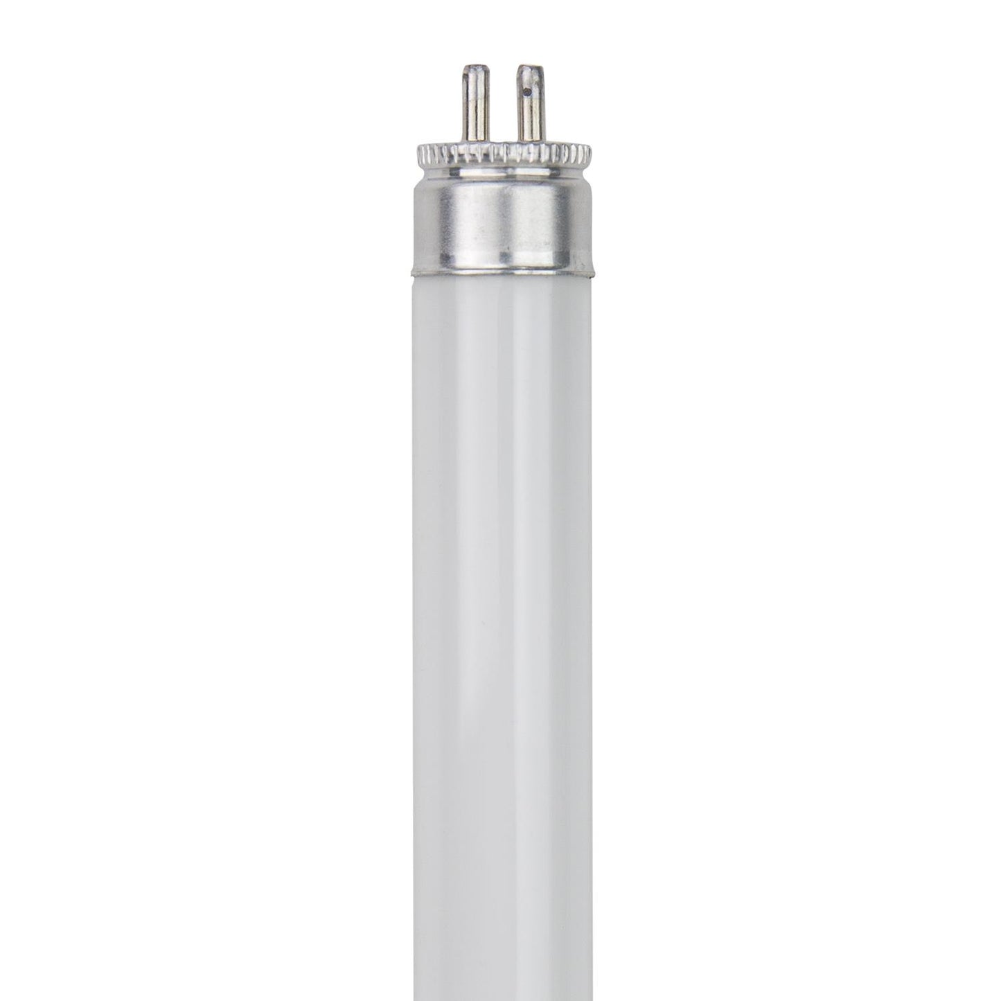 Sunlite F8T5/CW 8 Watt T5 Lamp Mini Bi-Pin (G5) Base Cool White