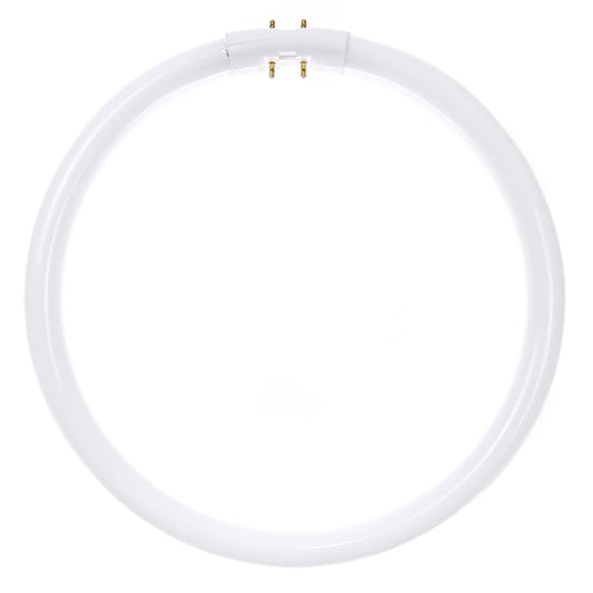 Sunlite 22 Watt T5 Circline, 2GX13 Base, Cool White