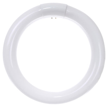 Sunlite 22 Watt T9 Circline, 4-Pin Base, Cool White