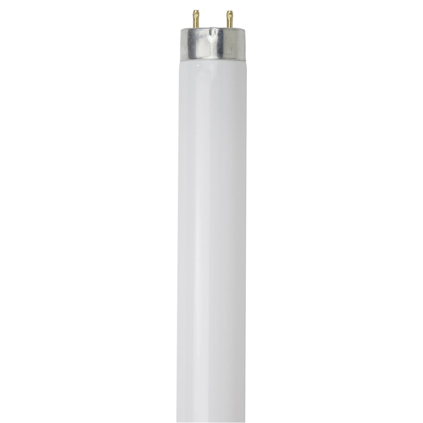 Sunlite F25T8/SP850/30PK 25 Watt T8 High Performance Straight Tube Medium Bi-Pin (G13) Base, 5000K Soft White